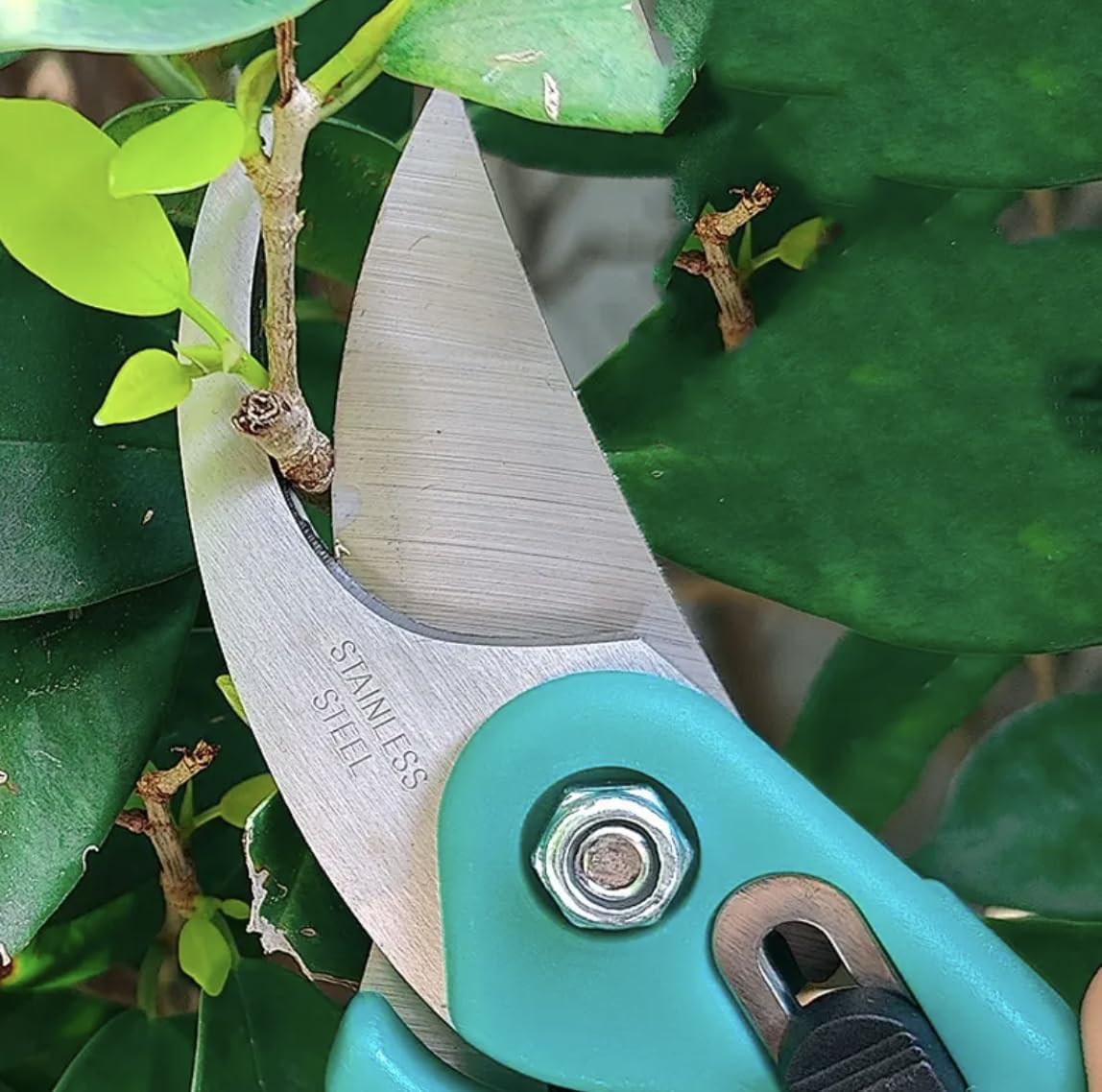 Heavy-Duty Pruning Shear Cutter | 1 Pc Bypass Iron Pruner with Smart Lock | Garden Tool for Plants & Grass