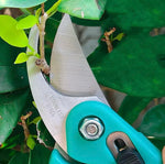 Heavy-Duty Pruning Shear Cutter | 1 Pc Bypass Iron Pruner with Smart Lock | Garden Tool for Plants & Grass